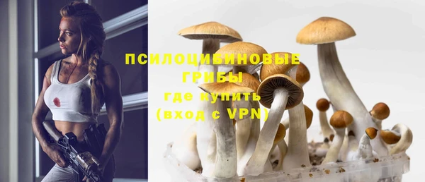 прущий лед Краснослободск