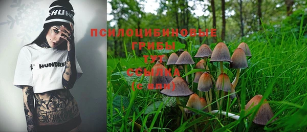 прущий лед Краснослободск
