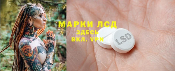 прущий лед Краснослободск